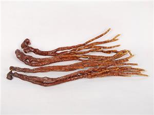 【源宇生物科技】破壁靈芝孢子粉每天應該什么時間服用？